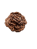 Leopard hårklemme