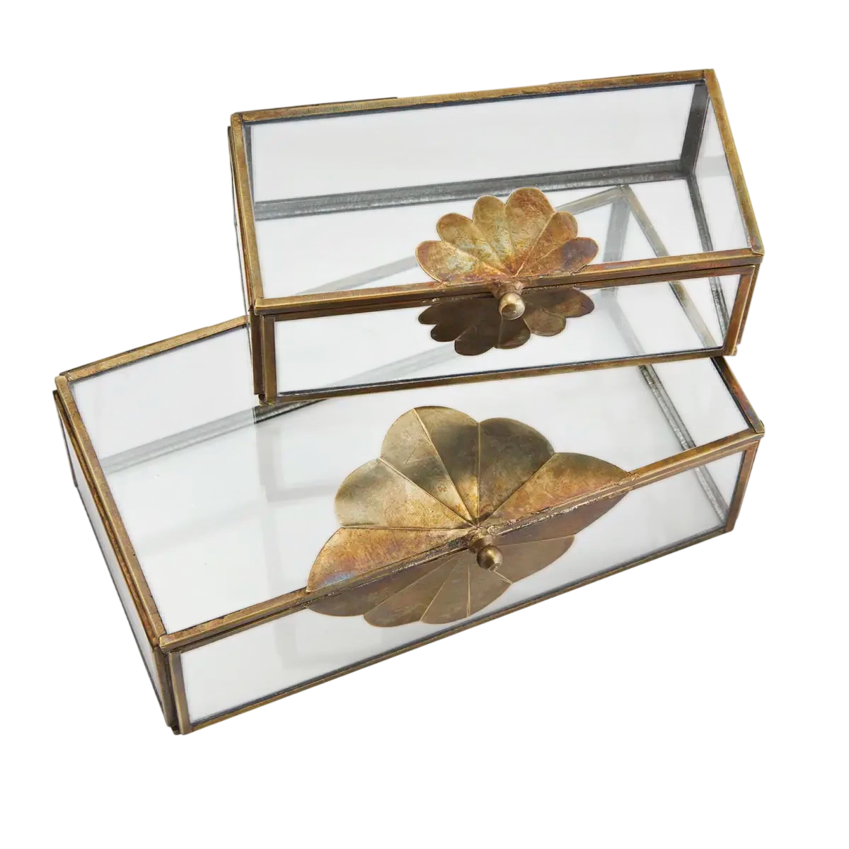 Glass Boxes With Brass Leaf