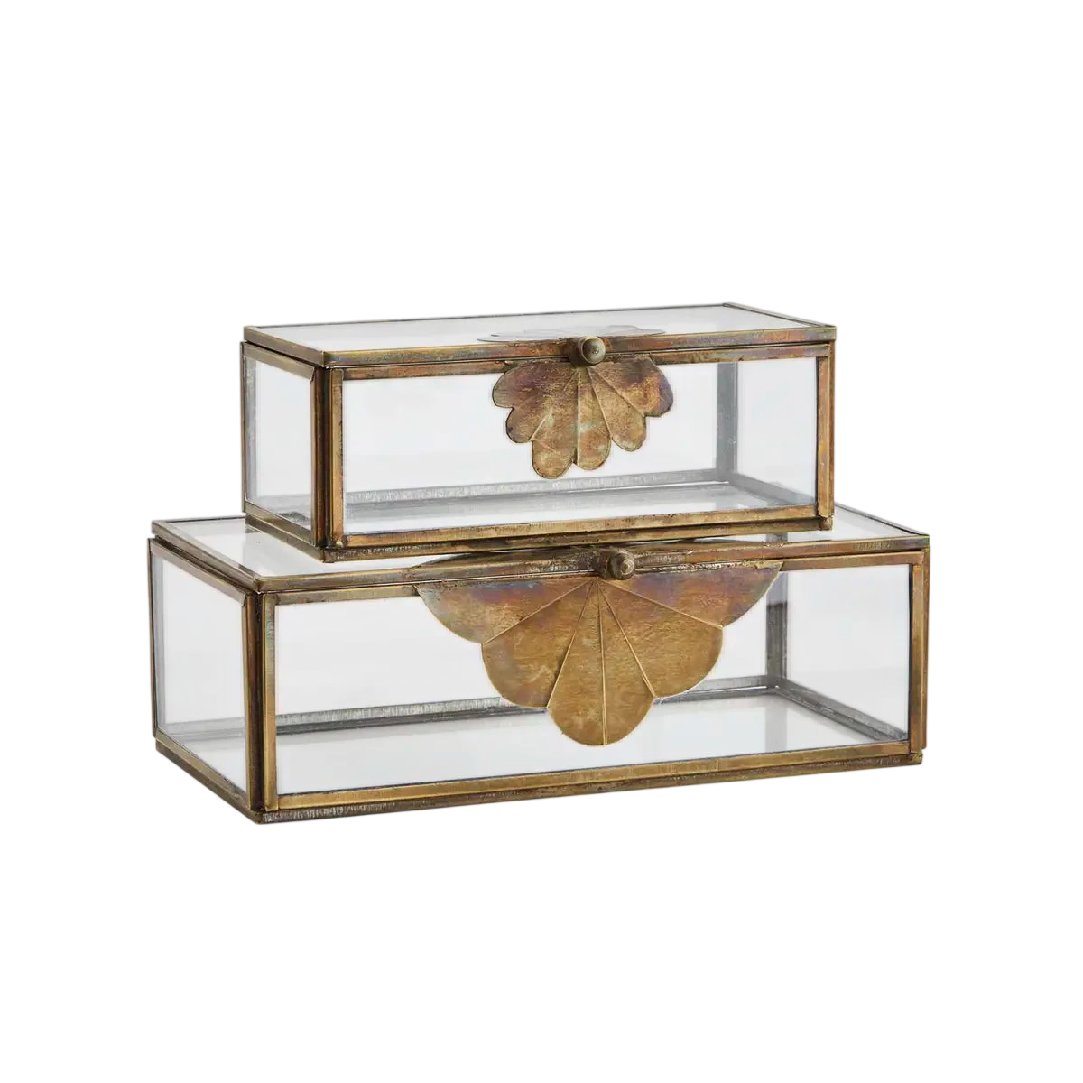 Glass Boxes With Brass Leaf
